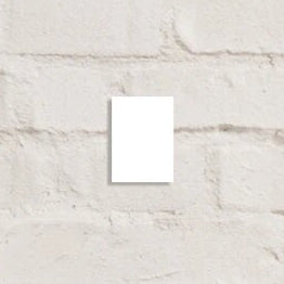 Fine Art Poster